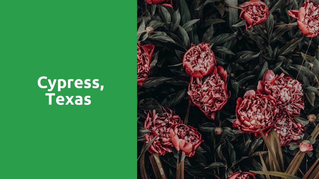 Things to do and places to visit in Cypress, Texas